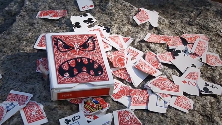 Devour (DVD and Gimmick) by SansMinds Creative Lab