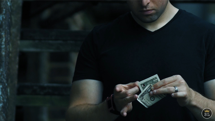 HYBRID (Gimmicks and Online Instructions) by Danny Weiser