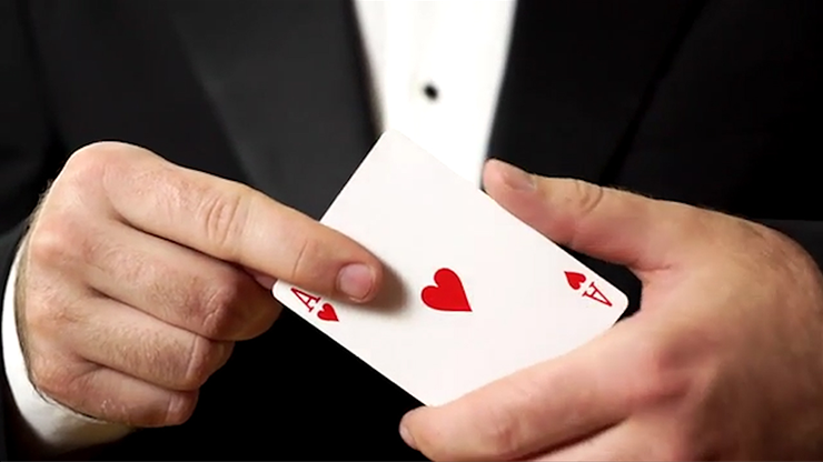 Tally-Ho Circle Back Playing Cards (White)