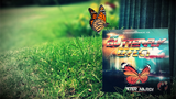 The Butterfly Effect (DVD and Gimmicks) by Peter Nardi