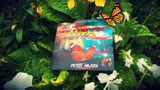 The Butterfly Effect (DVD and Gimmicks) by Peter Nardi