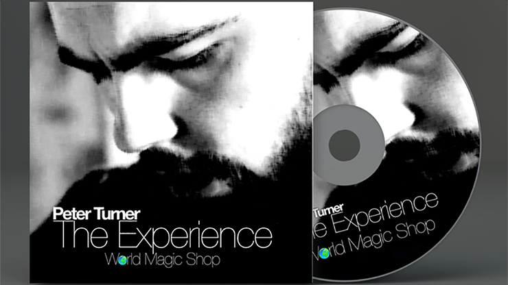 The Experience by Peter Turner